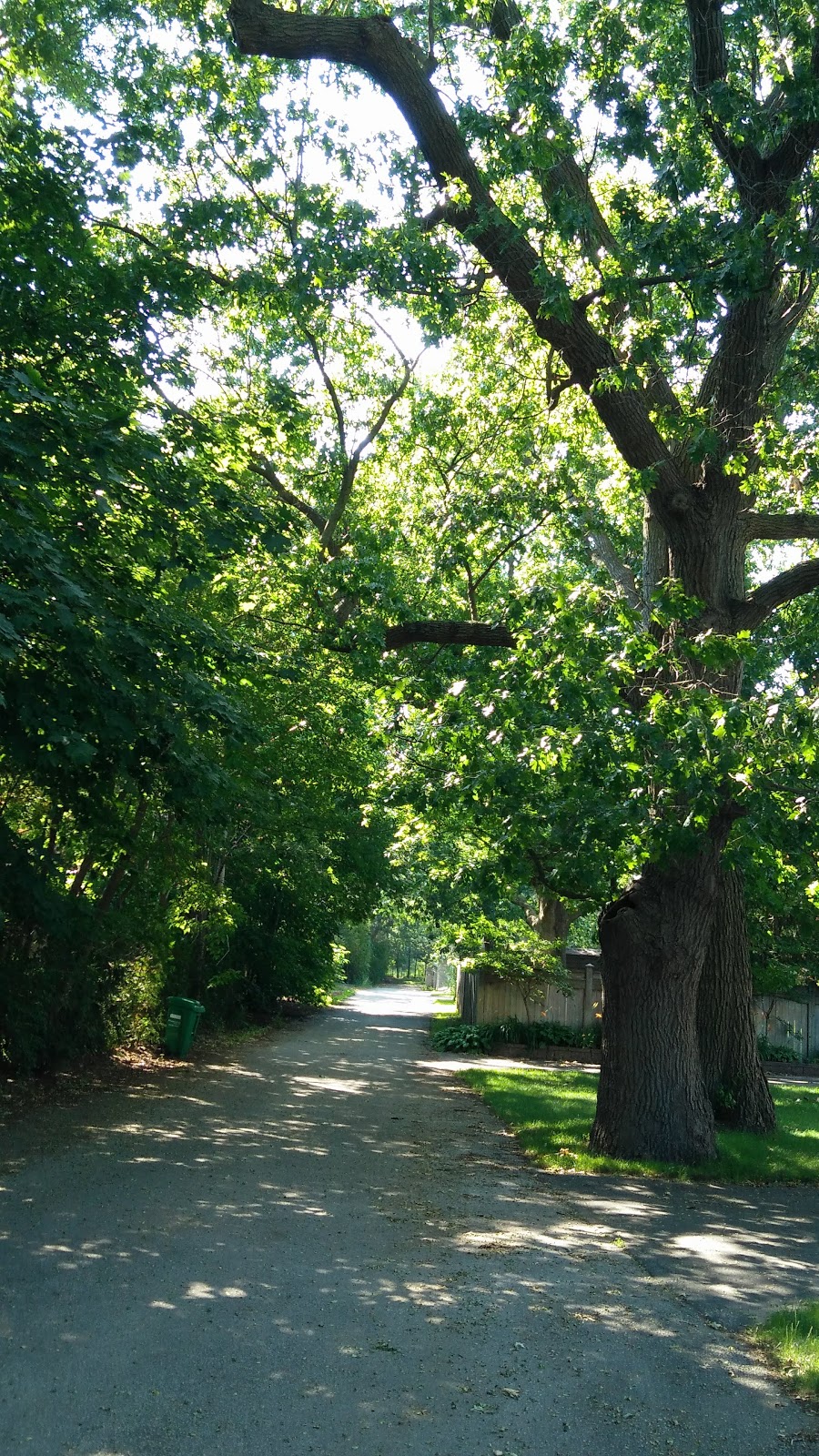 Bruce Reynolds Park | 2173 Springbank Rd, Mississauga, ON L5H 3N5, Canada