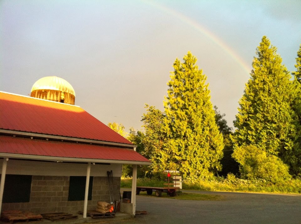 Westlyn Feed | 9105, 910 H Street Rd, Lynden, WA 98264, USA | Phone: (360) 354-0799