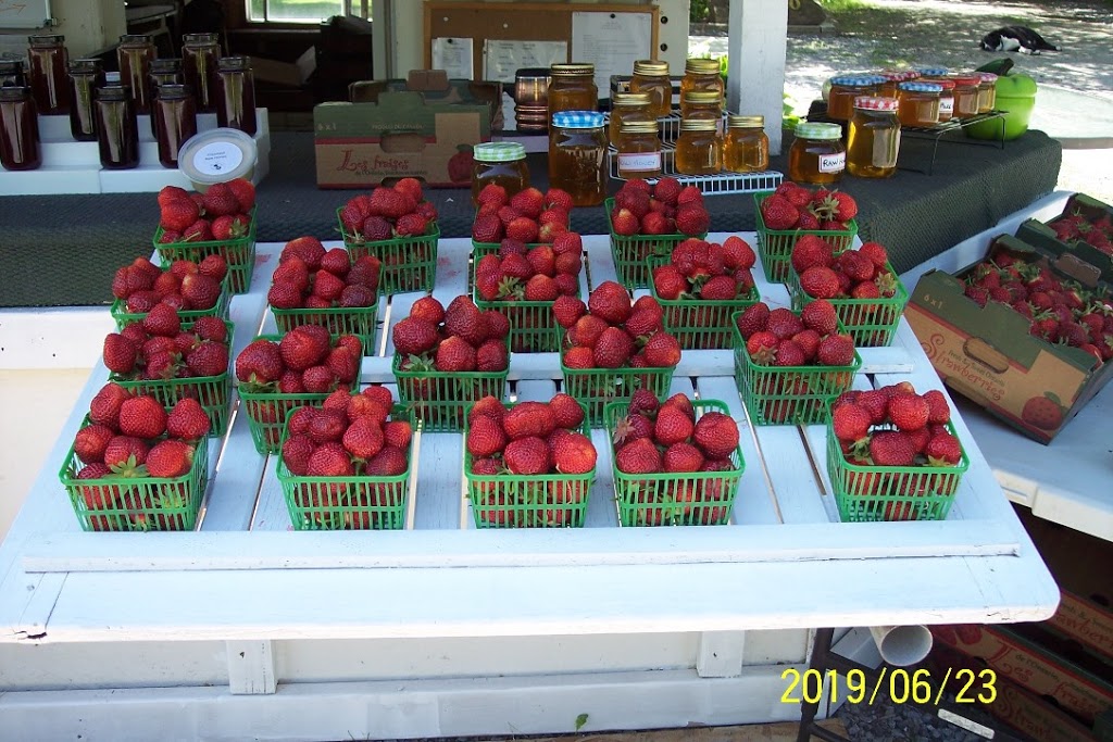Fruit-Stand-on-Mountain | 6680 Mountain Rd, Niagara Falls, ON L2J 0B5, Canada | Phone: (905) 374-6342