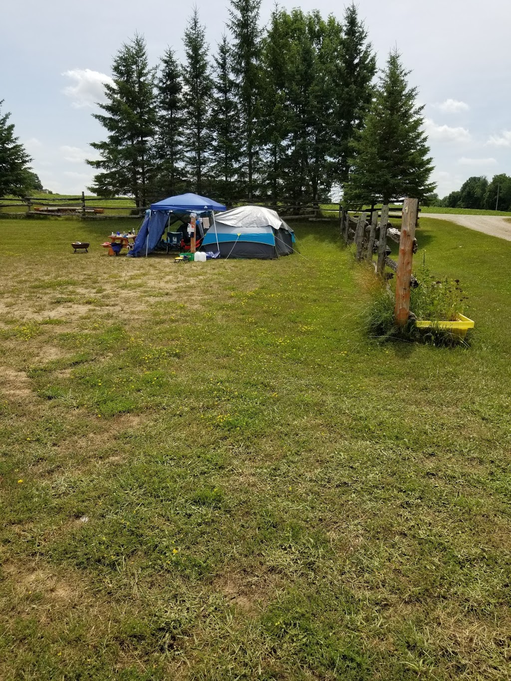 Sweet Dream Acres | 702561 side road #5, Chatsworth, ON N0H 1G0, Canada | Phone: (519) 379-3400
