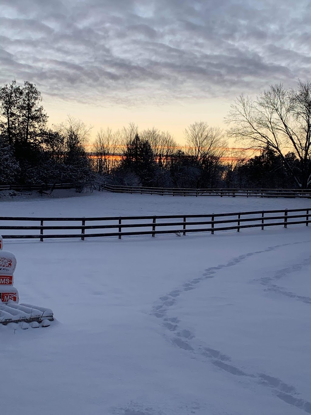 Evamar Farms Equestrian | 4046 Hwy 28 North, Lakefield, ON K0L 2H0, Canada | Phone: (705) 654-4781