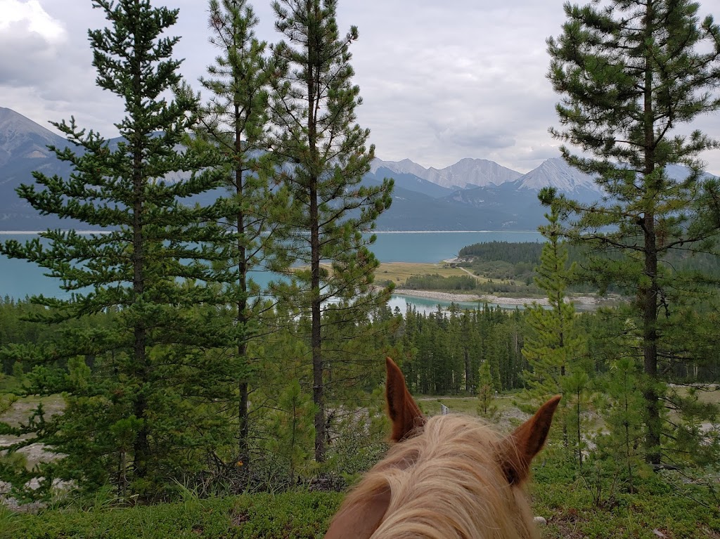 McKenzies Trails West | David Thompson Hwy, Cline River, AB T0M 2H0, Canada | Phone: (403) 721-7433