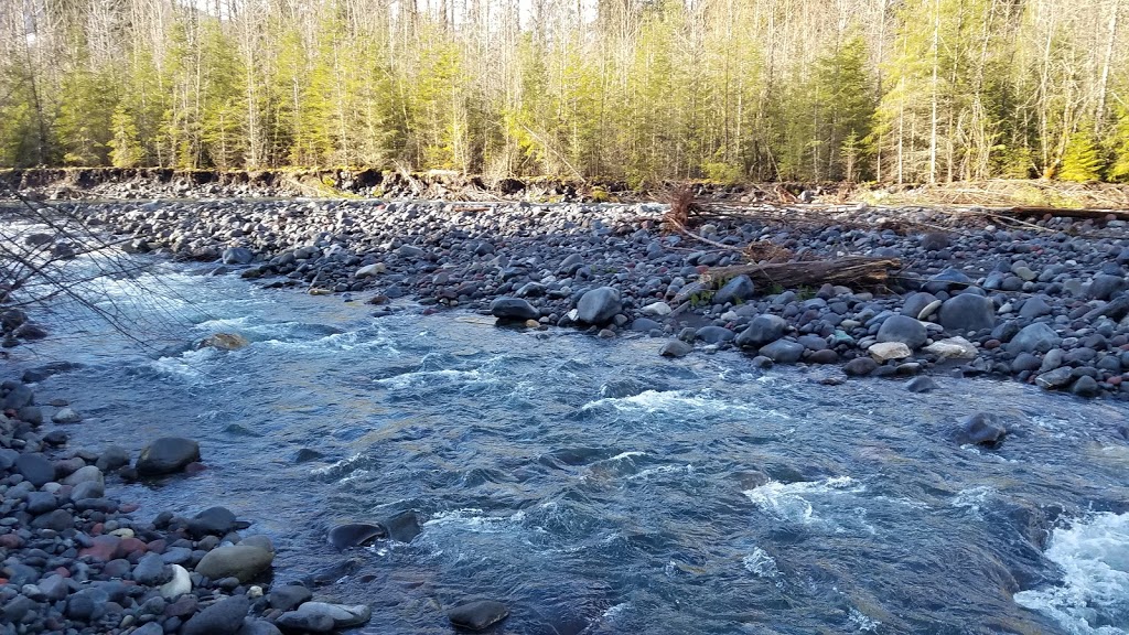 Baker-Snoqualmie National Forest | WA-542, Deming, WA 98244, USA | Phone: (800) 627-0062