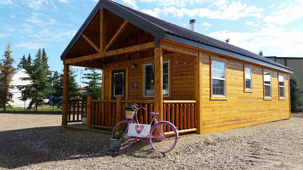 Tamina Miller Meditation | 119 3 Ave W, Alliance, AB T0B 0A0, Canada | Phone: (780) 879-2207