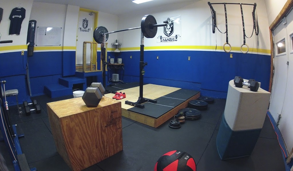 Viable Strength | 15 Lauchlin Crescent, Georgetown, ON L7G 5R1, Canada | Phone: (289) 890-0406