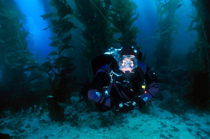 Caye Dive & Travel | 53 Marchwood Crescent, Bowmanville, ON L1C 5K5, Canada | Phone: (905) 903-4720