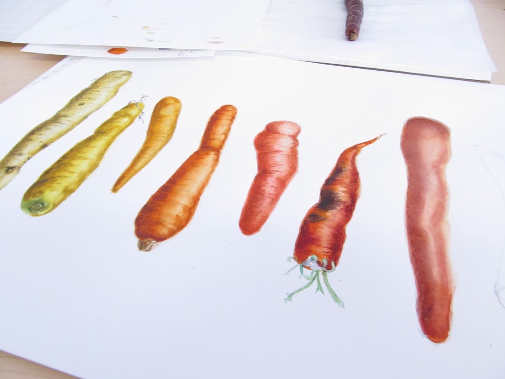 Lee Angold Botanical and Scientific Illustration | 142 Waterloo St a, Waterloo, ON N2J 1Y2, Canada | Phone: (647) 771-5696