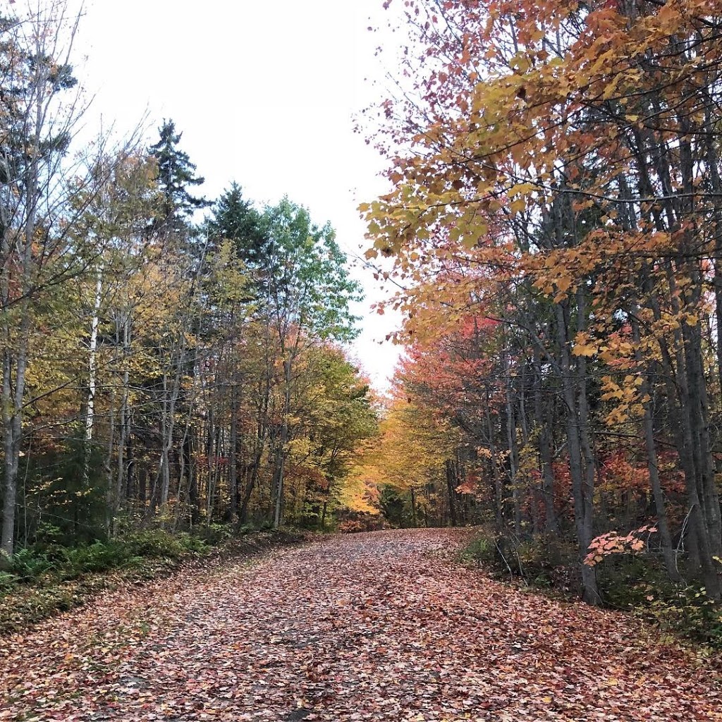 Saint-Anselme Park | Dieppe, NB E1A 0K2, Canada | Phone: (506) 877-7946