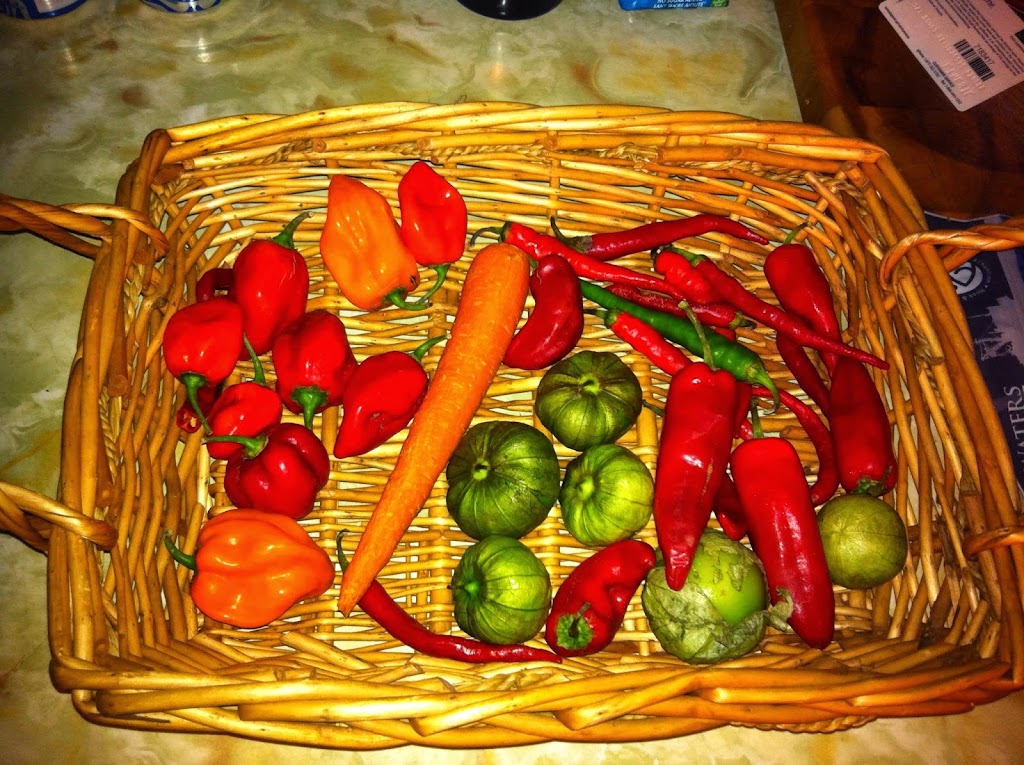 Peppermaster Hot Sauces | 26 Rue Saint-Jean-Baptiste E, Rigaud, QC J0P 1P0, Canada | Phone: (514) 393-3430