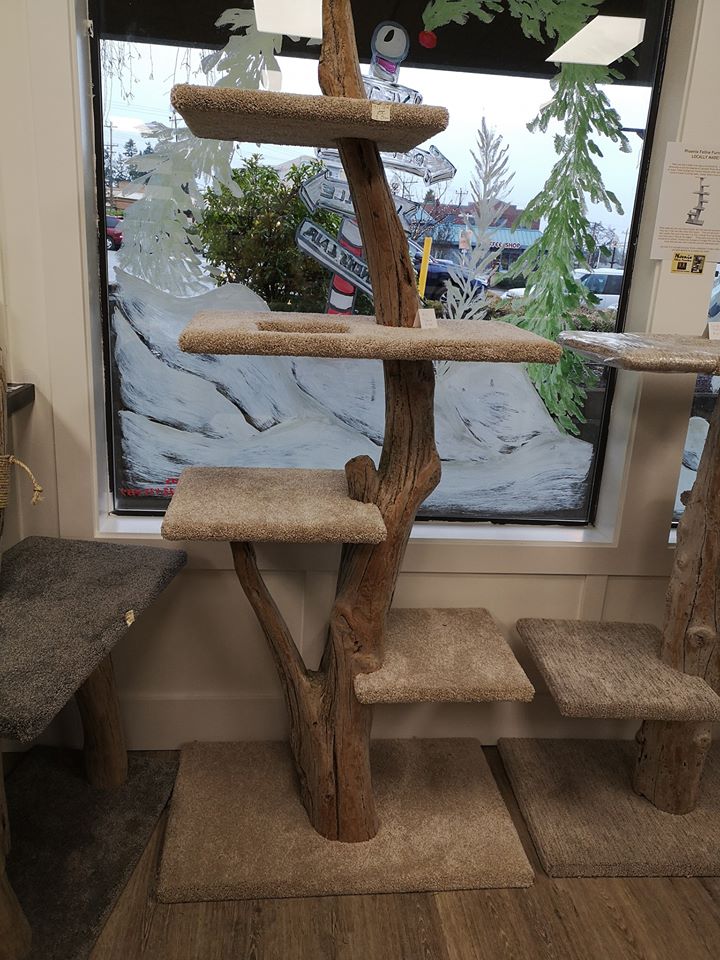 Village Pets | 7816 E Saanich Rd #3, Saanichton, BC V8M 2B3, Canada | Phone: (778) 351-3232