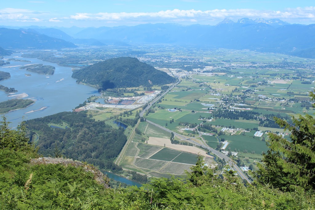 Steidle Farms | 30200 Burgess Ave, Abbotsford, BC V4X 1V5, Canada | Phone: (604) 607-6697