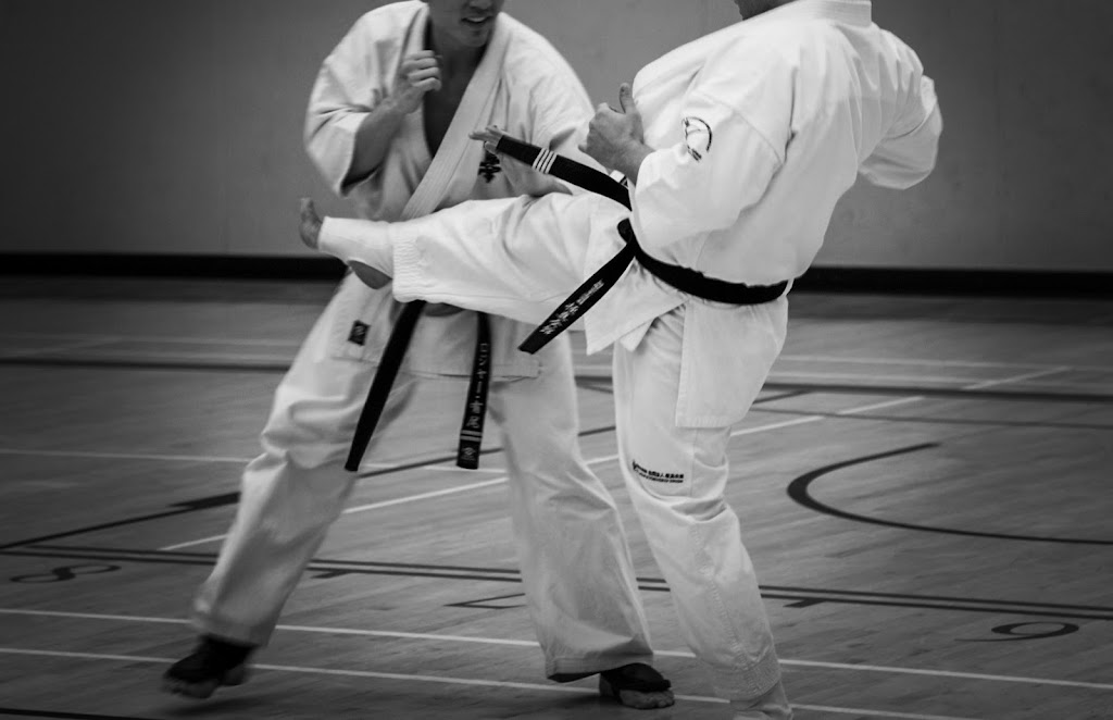 CONFIDENCE MARTIAL ARTS ACADEMY | 201 W Chestermere Dr, Chestermere, AB T1X 1B2, Canada | Phone: (403) 605-5215