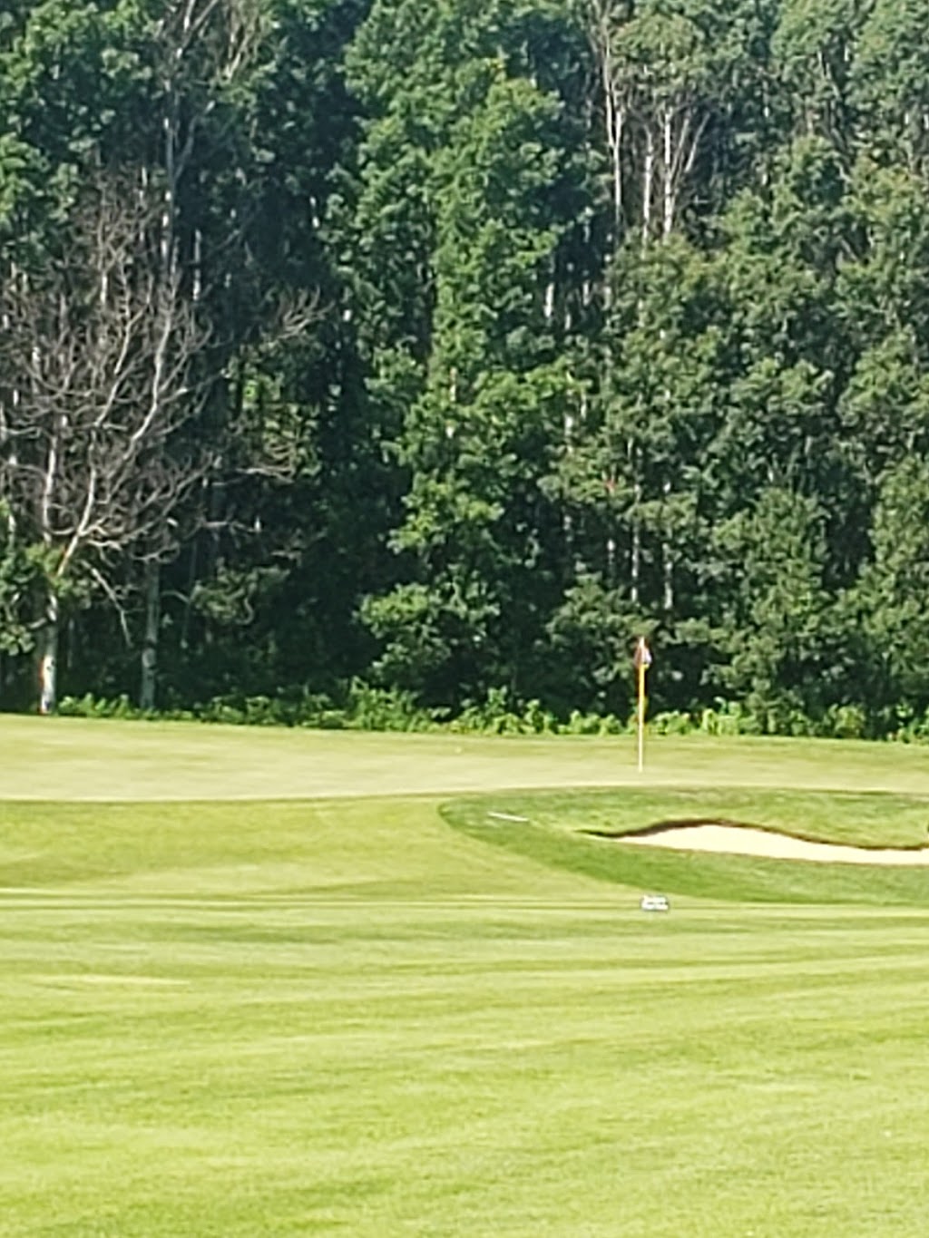 Innisfail Golf Club | 6080 Lakewood Dr, Innisfail, AB T4G 1S7, Canada | Phone: (403) 227-3444