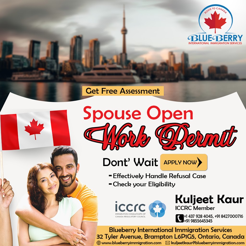 Blueberry International Immigration Services | 32 Tyler Ave, Brampton, ON L6P 1G5, Canada | Phone: (437) 928-4045