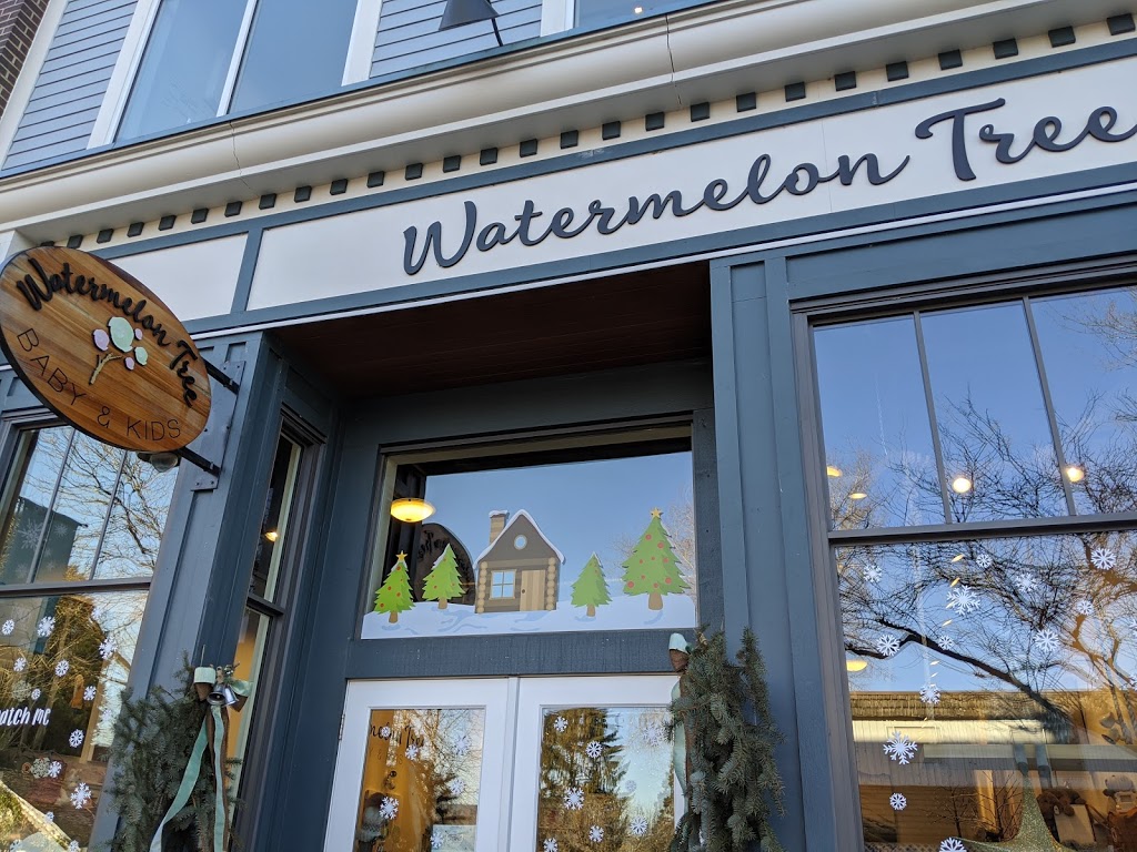 Watermelon Tree Baby & Kids | 2S3, 9220 Glover Rd Unit#130, Langley City, BC V1M 2R4, Canada | Phone: (778) 998-3751