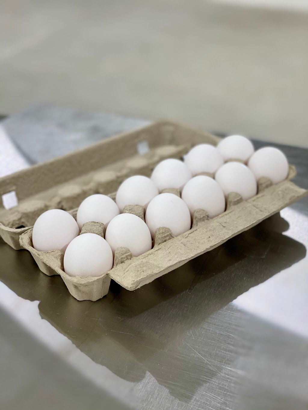 Siemens Farms | SW-27-5-1E, Rosenort, MB R0G 1W0, Canada | Phone: (204) 712-6763