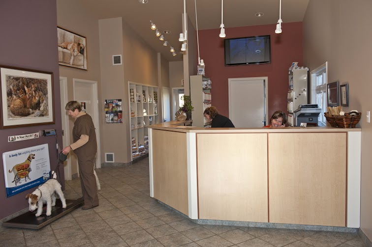 Village Veterinary Clinic | 1108 Concession St, Russell, ON K4R 1A6, Canada | Phone: (613) 445-5622