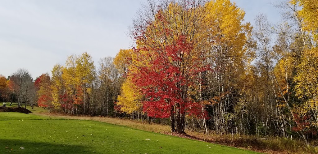Sussex Golf & Curling Club | 148 Picadilly Rd, Picadilly, NB E4E 5H8, Canada | Phone: (506) 433-4951
