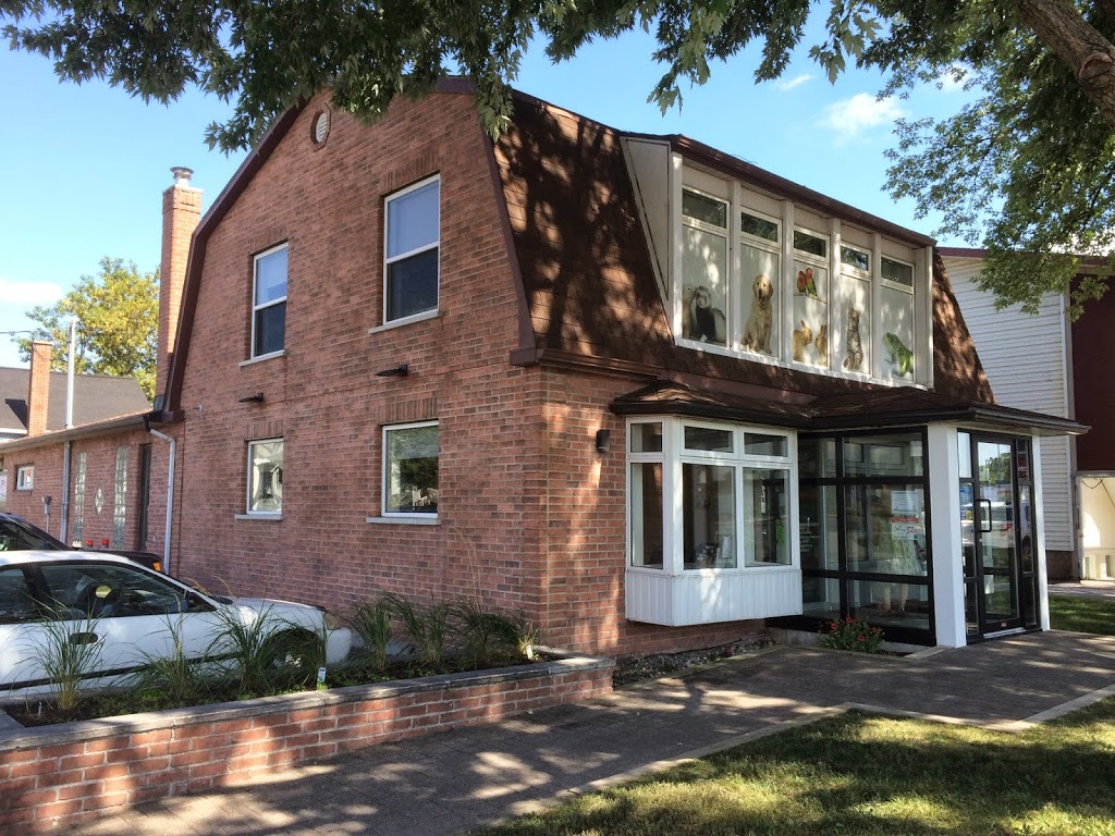 Hôpital Vétérinaire Ste-Thérèse membre du groupe Vétéri-Médic in | 268 Boulevard Curé-Labelle, Sainte-Thérèse, QC J7E 2X7, Canada | Phone: (450) 430-6060