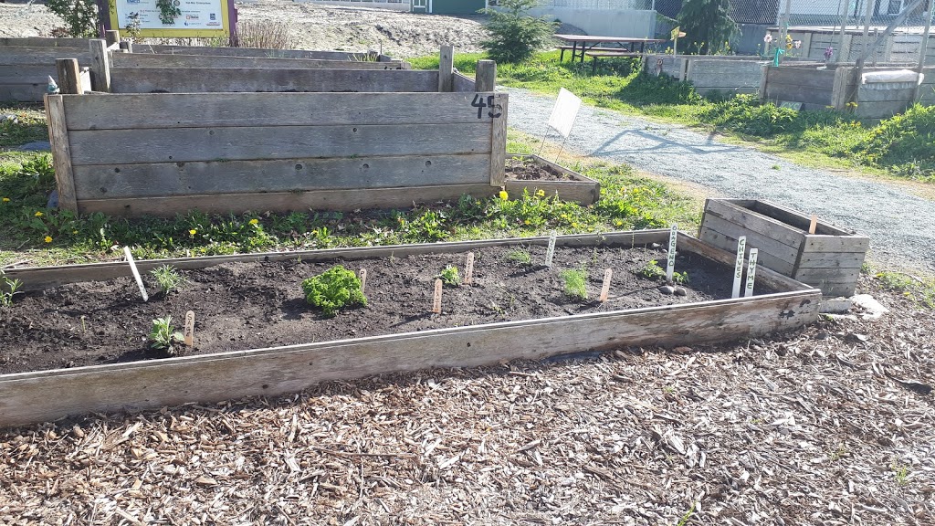Sunshine Community Garden | Sardis, Chilliwack, BC V2R 5Y3, Canada