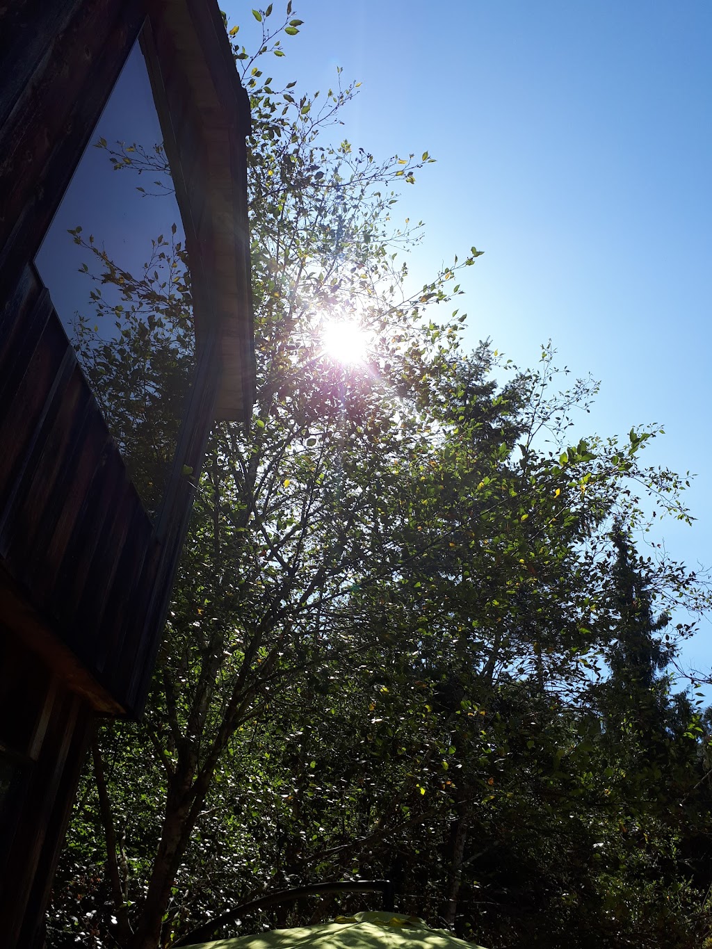 Singing Bird Farm | 1570 N End Rd, Salt Spring Island, BC V8K 1C6, Canada | Phone: (250) 537-5478