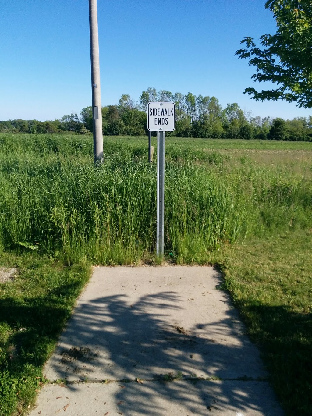 Rosswell Park | 141 Rosswell Dr, Courtice, ON L1E 0A4, Canada | Phone: (905) 263-2291