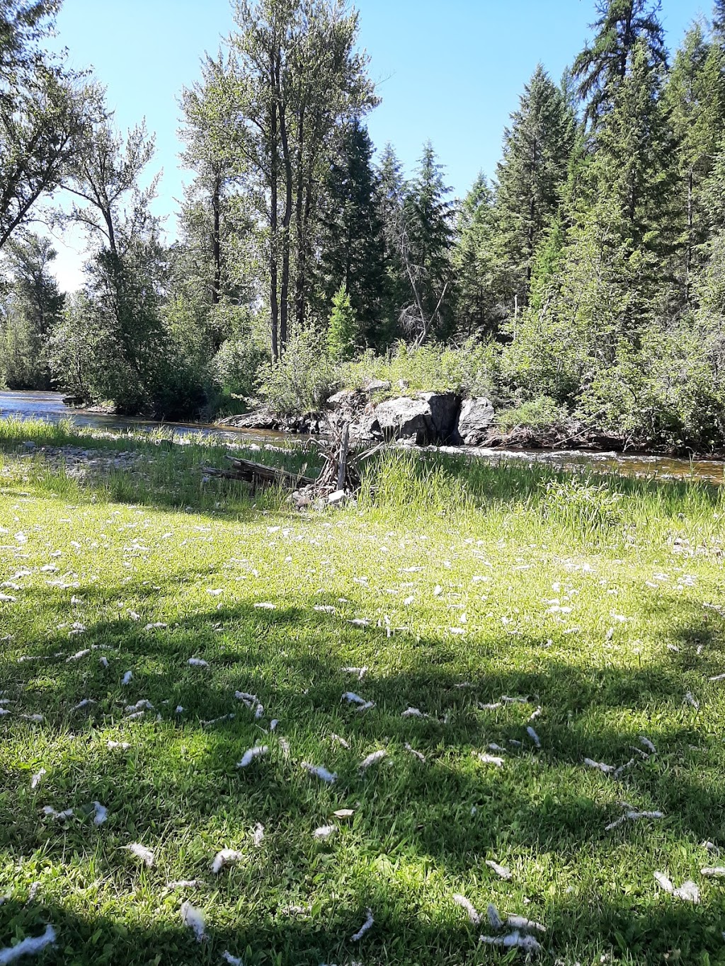 Night Sky Campground | 400 1 St Bx 375, Greenwood, BC V0H 1J0, Canada | Phone: (780) 814-2935