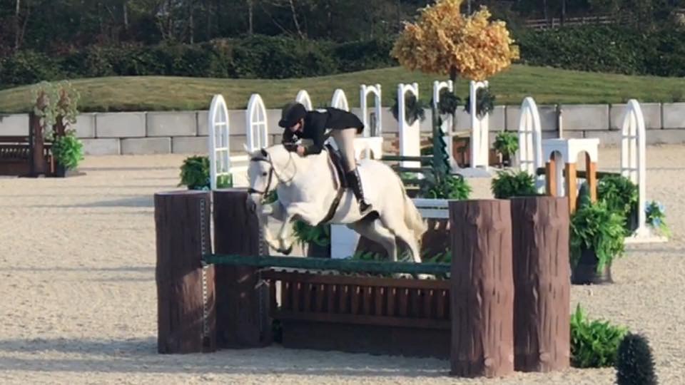Cascadia Equestrian | 1511 Hovey Rd, Saanichton, BC V8M 1S7, Canada | Phone: (250) 580-2997