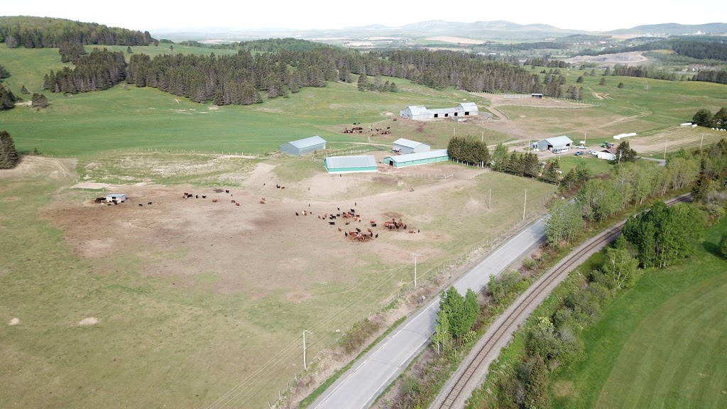 Groupe Claessens | 131a Rang Charlotte, Saint-Liboire, QC J0H 1R0, Canada | Phone: (450) 793-2806
