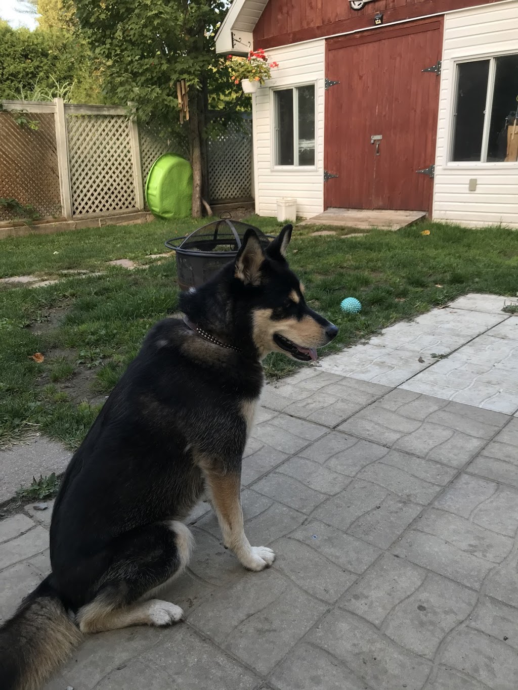 chienchien.com | 711 Chemin du Grand Beloeil, Sainte-Émélie-de-lÉnergie, QC J0K 2K0, Canada | Phone: (450) 886-5902