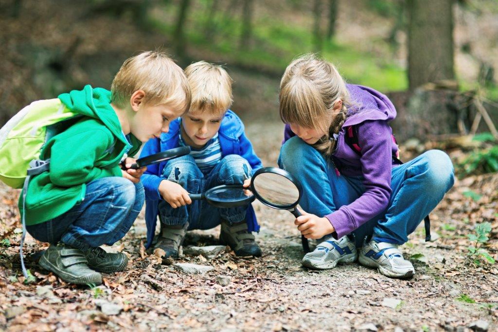 Wise Owl Montessori Childcare Inc. | 5575 Marine Dr, West Vancouver, BC V7W 2R4, Canada | Phone: (604) 603-4545