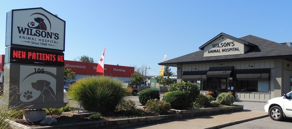 Wilsons Animal Hospital | 105 Hartzel Rd, St. Catharines, ON L2P 1N2, Canada | Phone: (905) 682-7857
