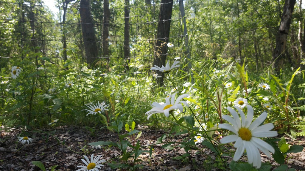 Land Stewardship Centre | 17503 45 Ave NW, Edmonton, AB T6M 2N3, Canada | Phone: (780) 483-1885