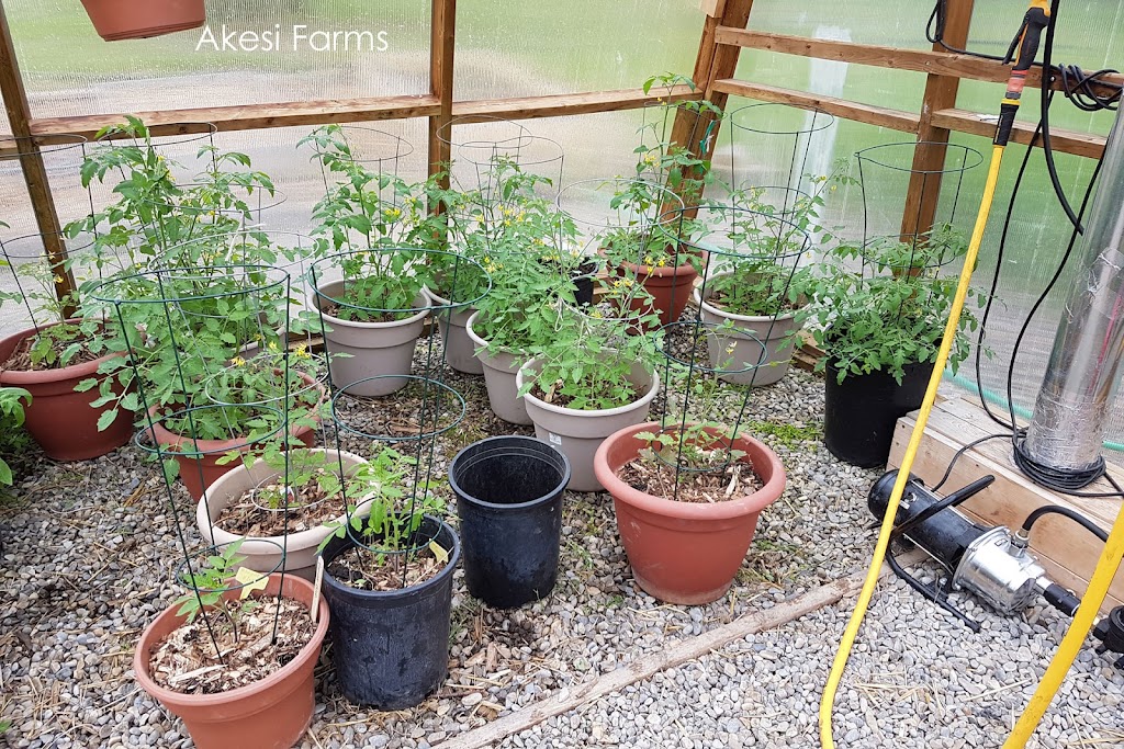 Akesi Farms | 6170 Township Rd 314, Alberta T0M 1X0, Canada | Phone: (403) 638-2007