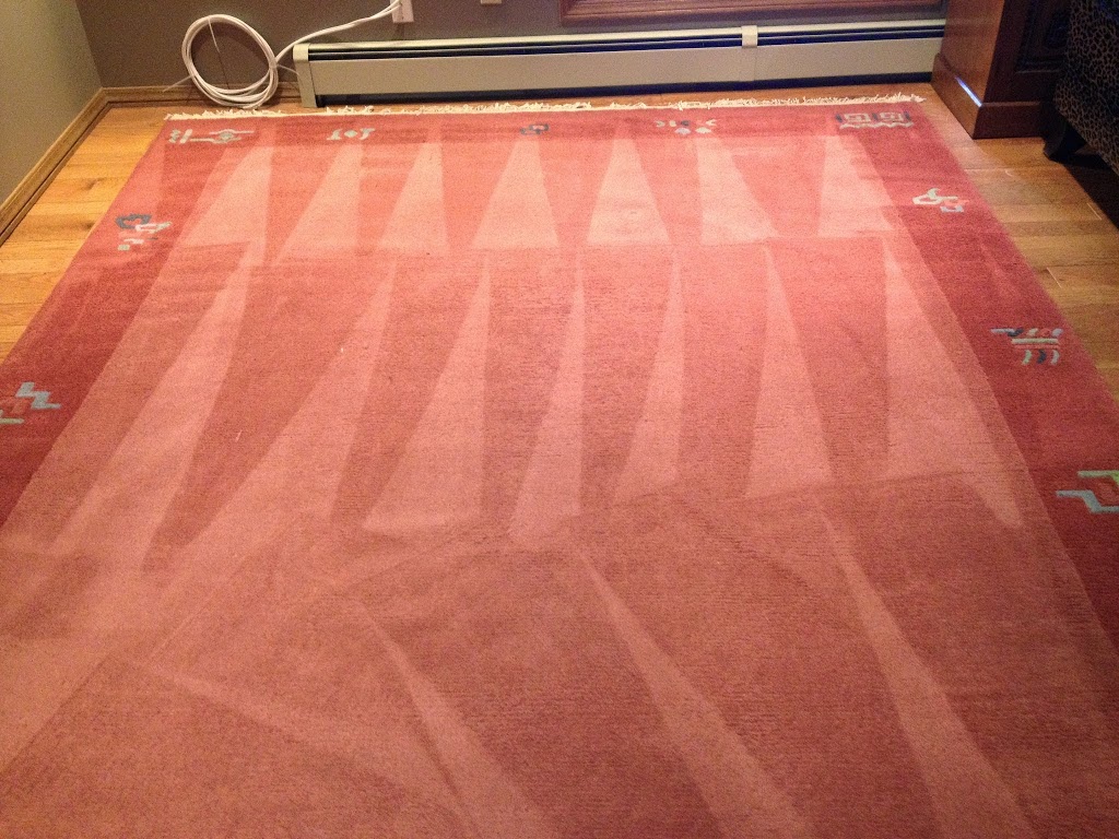 SaraCares Carpet & Upholstery Cleaning New Westminster | 329 Ewen Ave, New Westminster, BC V3M 5B4, Canada | Phone: (604) 722-0459