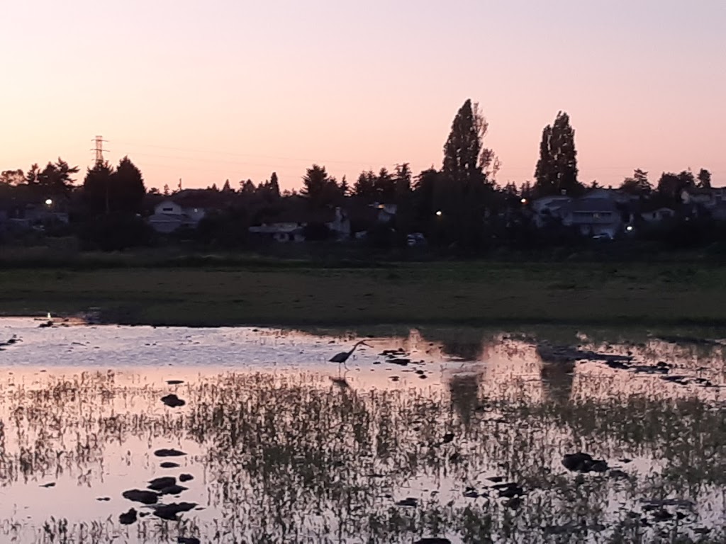 Panama Flats | Roy Rd, Victoria, BC V8Z 2T7, Canada | Phone: (778) 922-0749