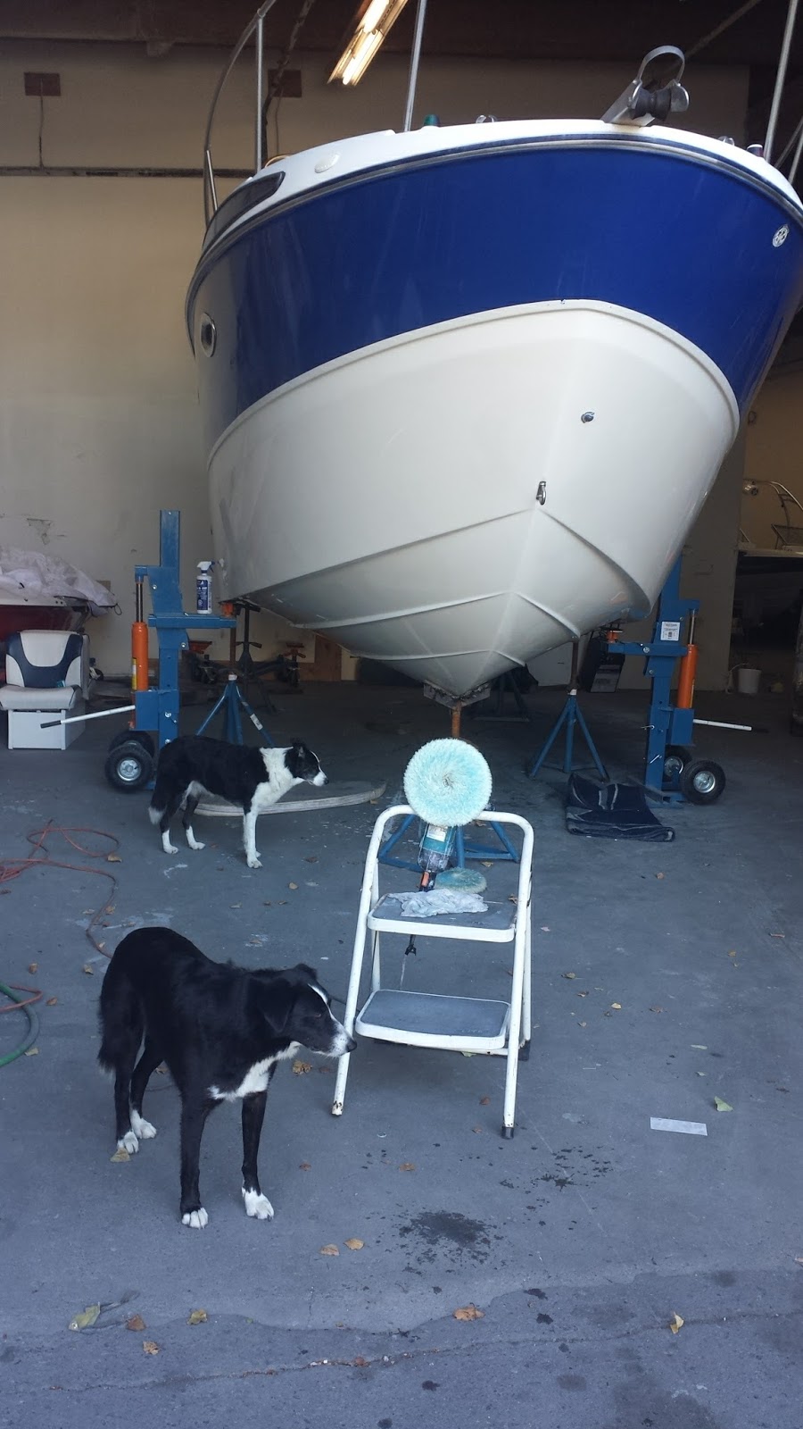 Pacific Coast Yacht Sales Ltd. | 4771 Vanguard Rd, Richmond, BC V6X 2P8, Canada | Phone: (604) 708-1980