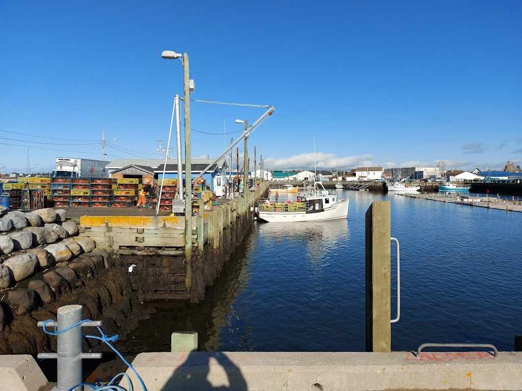 Harbour Authority of Cape Sable Island | 91 Water St, Clarks Harbour, NS B0W 1P0, Canada | Phone: (902) 745-1031