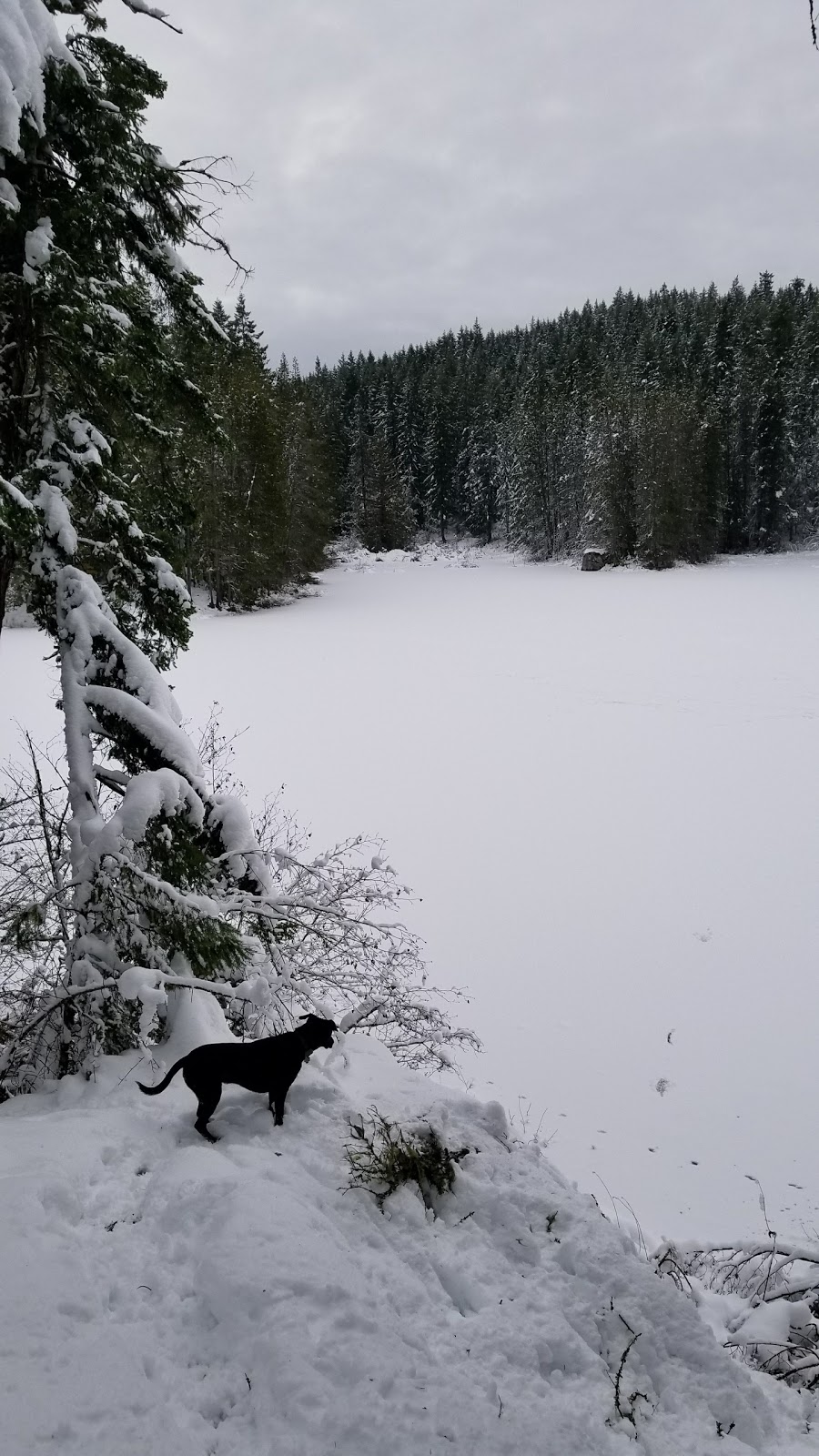 Spectacle Lake Provincial Park | Cowichan Valley B, BC V0R, Canada | Phone: (800) 689-9025