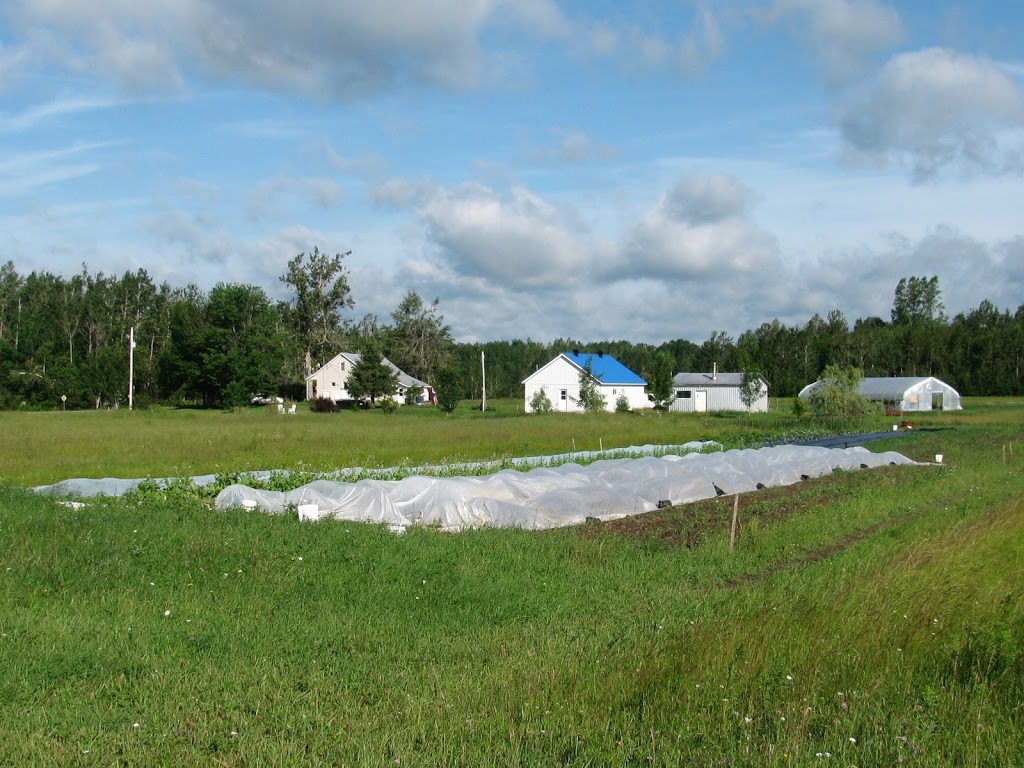 Ferme de la Rondine | 906 Route Trépanier, Joly, QC G0S 1M0, Canada | Phone: (418) 805-9677