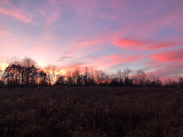 TRADITIONS; Tree Farm and Retreat | 668 Centre Line Rd, Marmora, ON K0K 2M0, Canada | Phone: (705) 559-4599