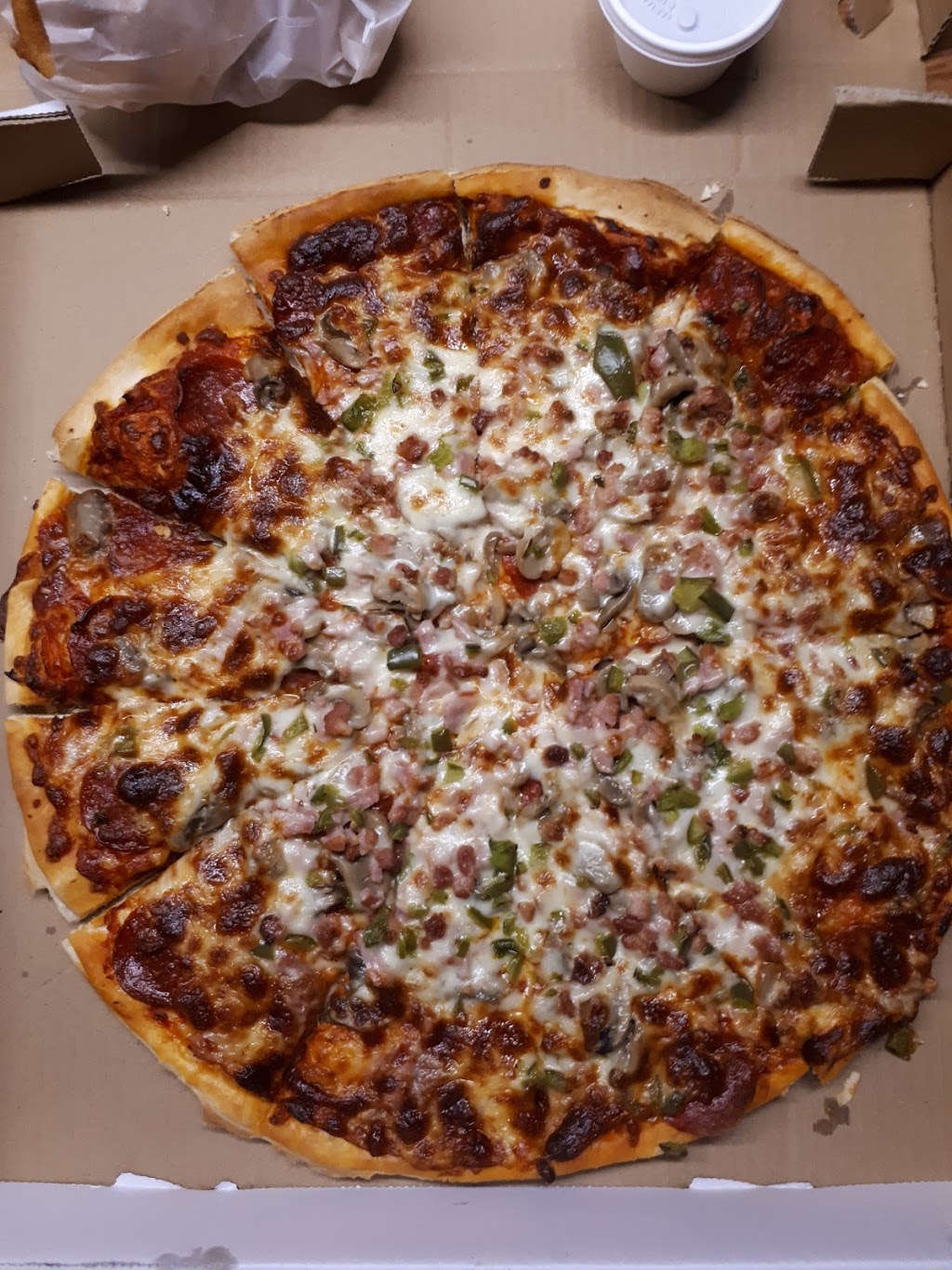 Village Pizza | 22519 Adelaide Rd, Mount Brydges, ON N0L 1W0, Canada | Phone: (519) 264-1174