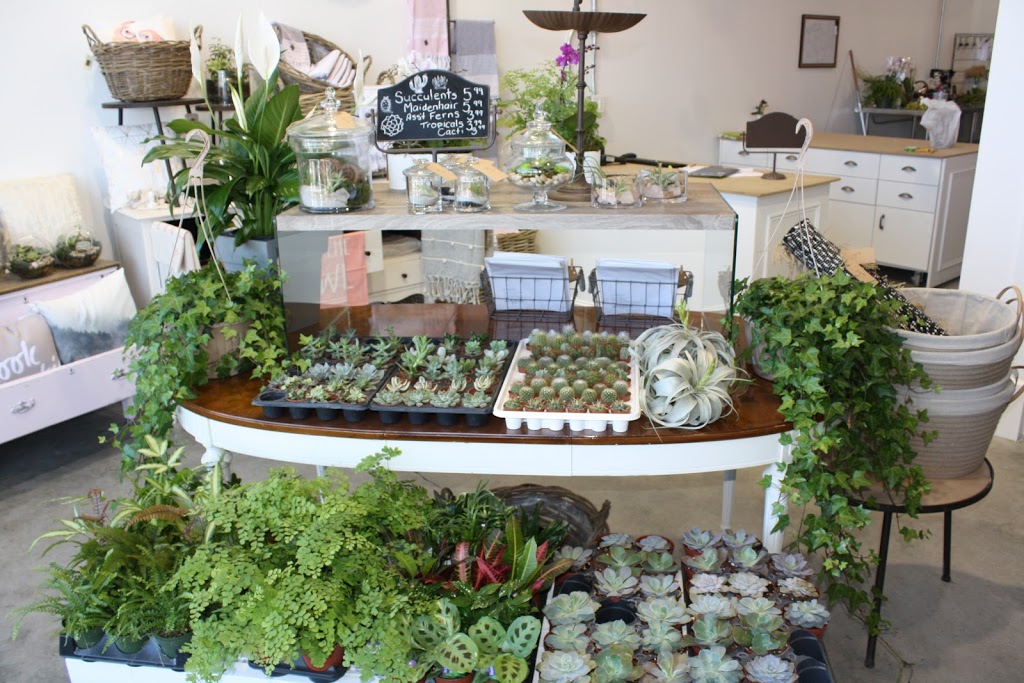 Room to Bloom | 236 Dovedale Dr Unit 4, Keswick, ON L4P 0H3, Canada | Phone: (905) 476-0120