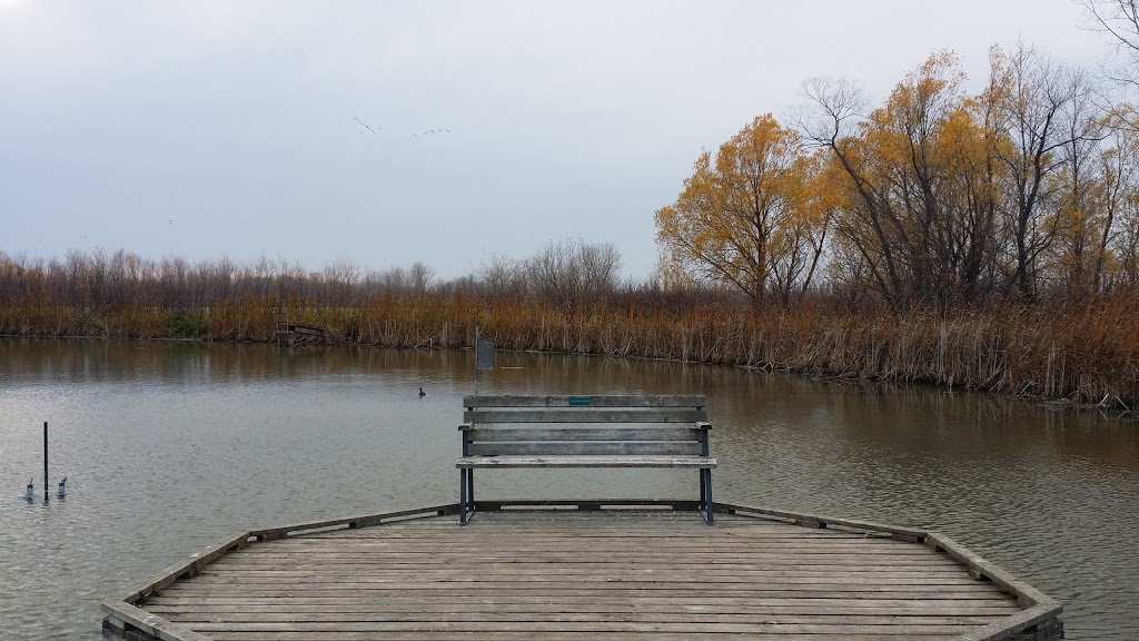 Wetland Boardwalk Trail | southwest, Winnipeg Ave, Winnipeg, MB R3P, Canada