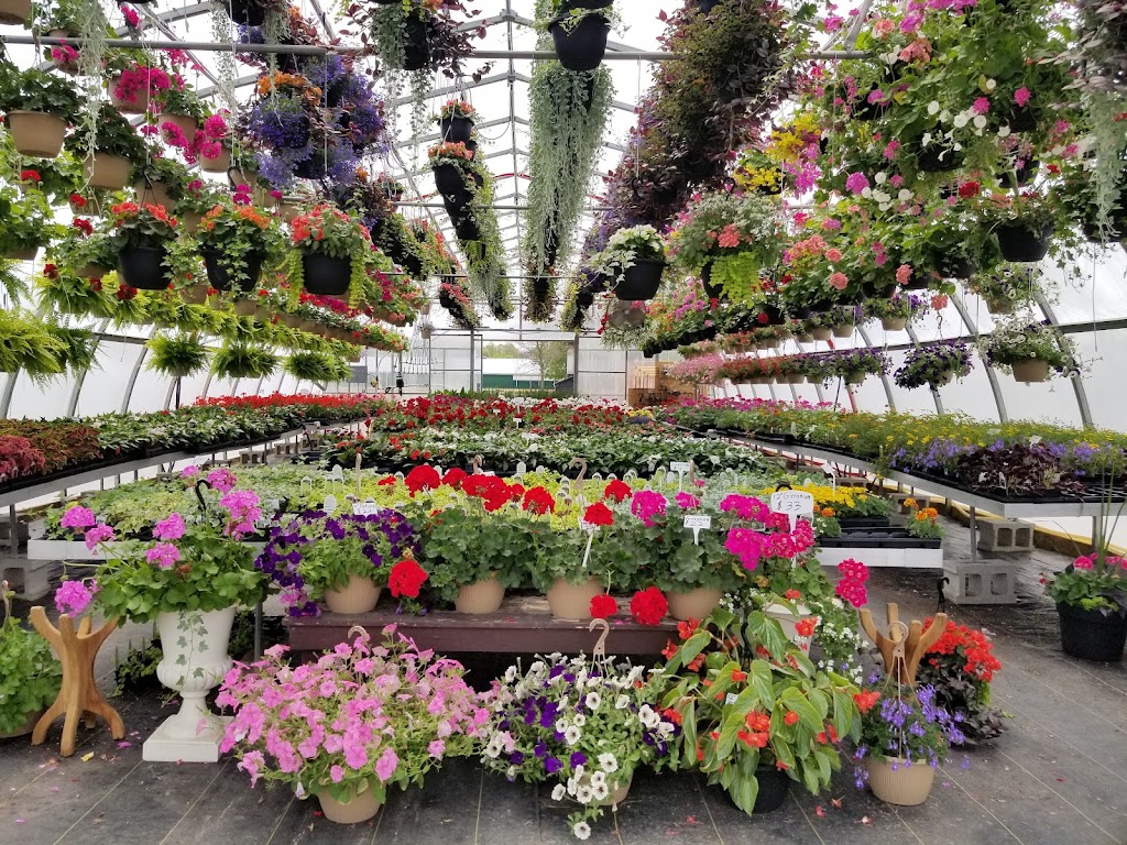 Sunshine Gardens | 41729 Harriston Rd, Bluevale, ON N0G 1G0, Canada | Phone: (519) 450-8013