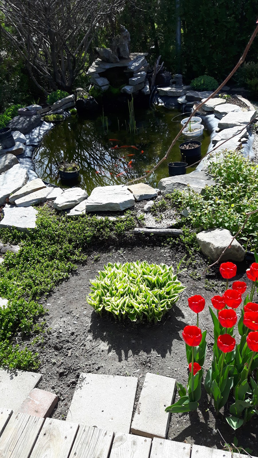 Parc Goyette | 331 Rang du Bas lAchigan, LÉpiphanie, QC J5X 2N6, Canada | Phone: (450) 588-5515