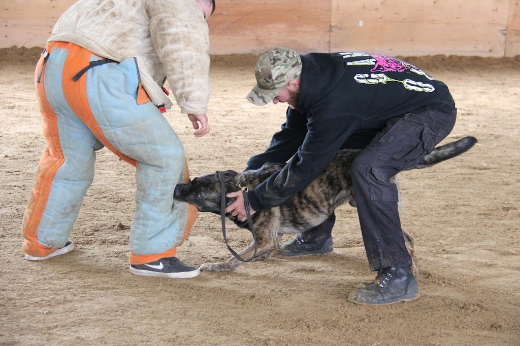 Frontier Canine Boarding | 5661 Egremont Dr, Ilderton, ON N0M 2A0, Canada | Phone: (416) 707-0281