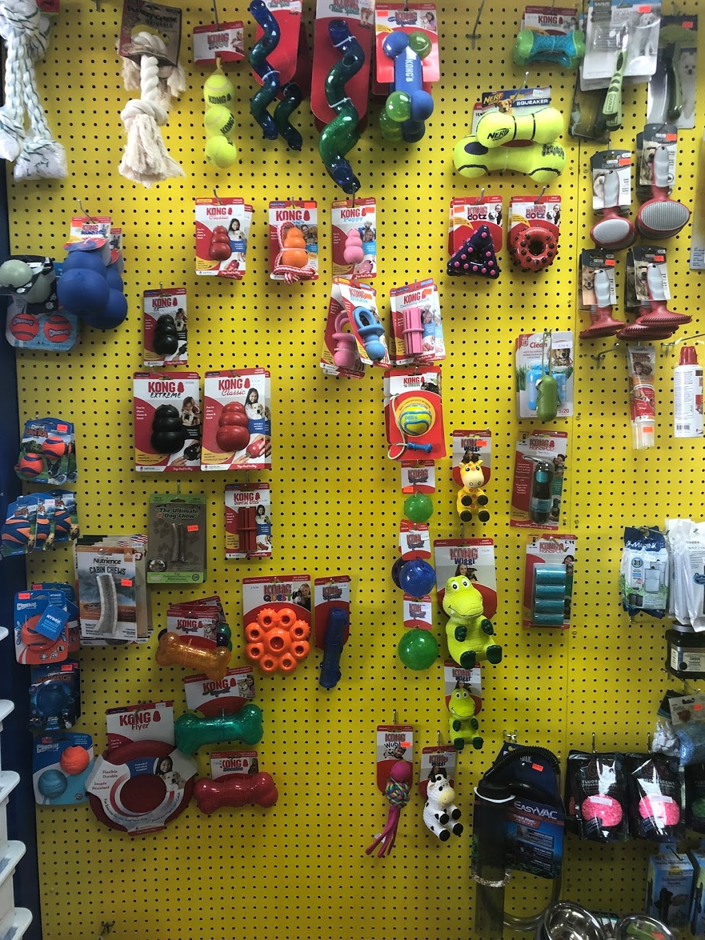 Animalerie Vacourt | 1224-A Rue Saint Joseph, Valcourt, QC J0E 2L0, Canada | Phone: (819) 791-3939
