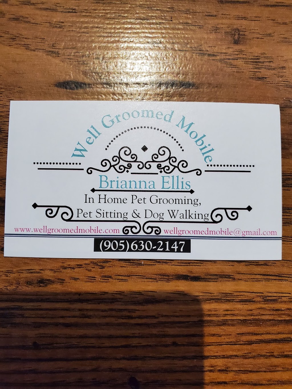 Well Groomed Mobile | 3 Donald Crescent, Wasaga Beach, ON L9Z 1E1, Canada | Phone: (905) 630-2147