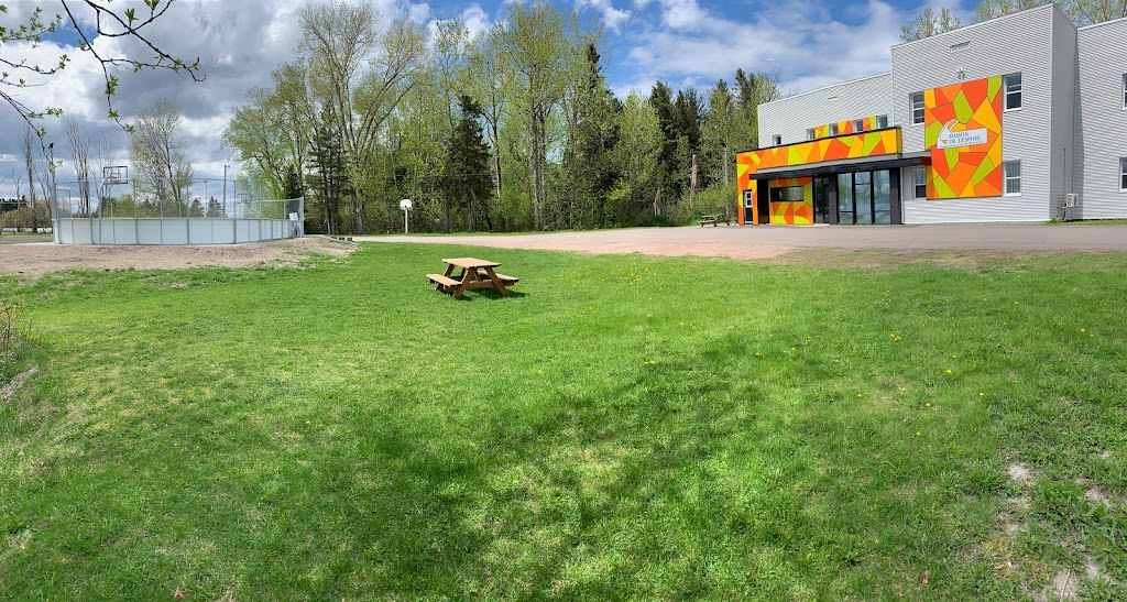 Maison De LEspoir Saguenay-Lac St-Jean Inc | 3170 Chem. du Plateau N, La Baie, QC G7B 0G9, Canada | Phone: (418) 545-9274